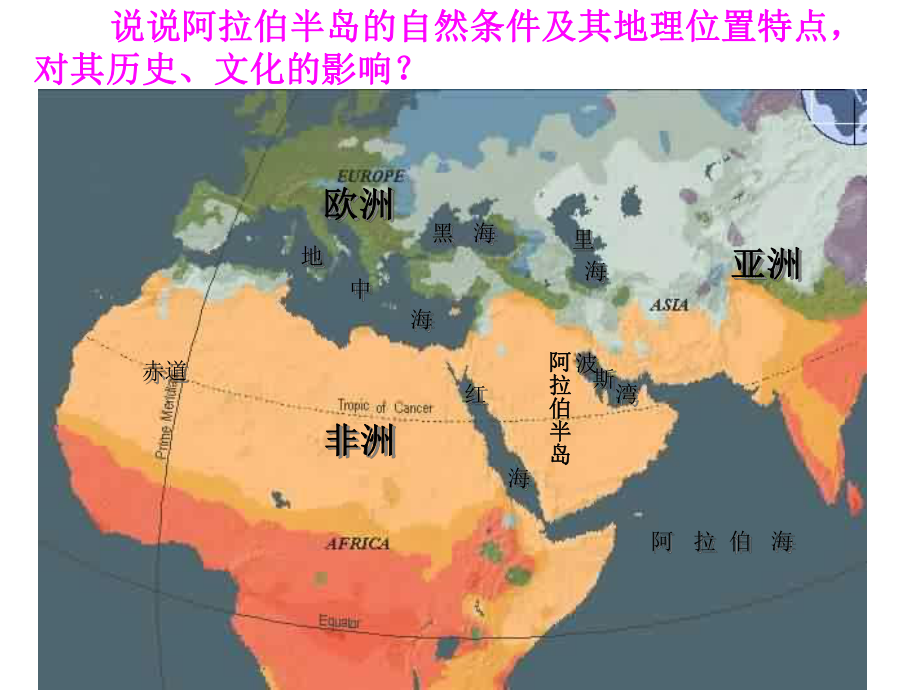 阿拉伯文化与伊斯兰文明ppt课件.ppt_第3页