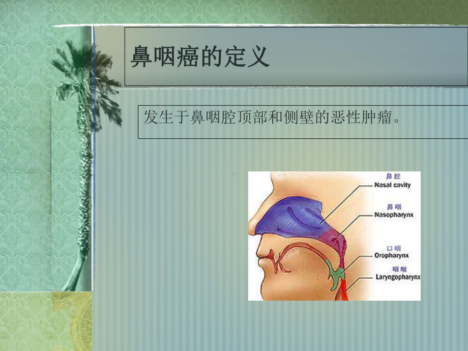 鼻咽癌护理常规课件.ppt_第3页