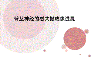 臂丛神经MR成像PPT课件.ppt