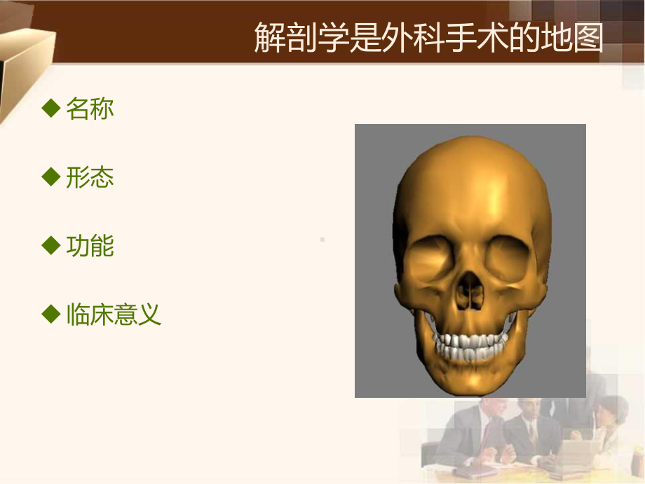 种植初级应用解剖PPT课件.ppt_第2页