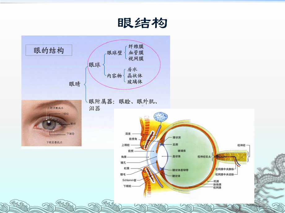 眼保健PPT课件.ppt_第2页