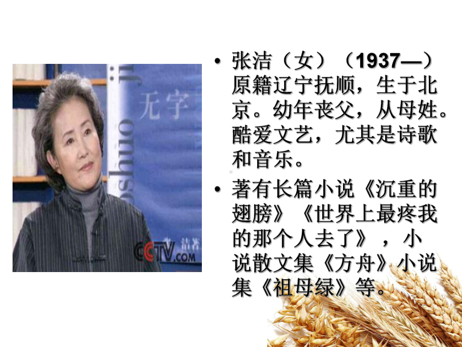 拣麦穗PPT课件68-北师大版-(共31张PPT).ppt_第3页