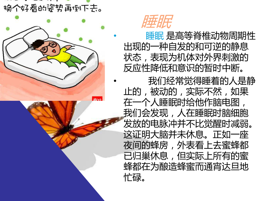 睡眠与健康-ppt课件.ppt_第3页