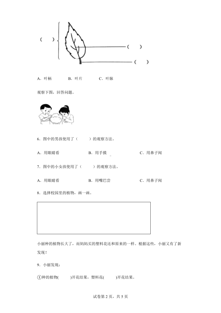 2021-2022学年教科版小学科学一年级上册第一单元植物测试卷.docx_第2页