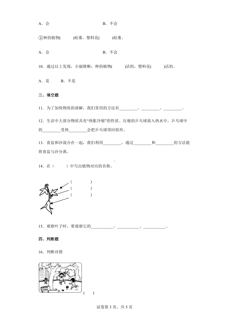 2021-2022学年教科版小学科学一年级上册第一单元植物测试卷.docx_第3页