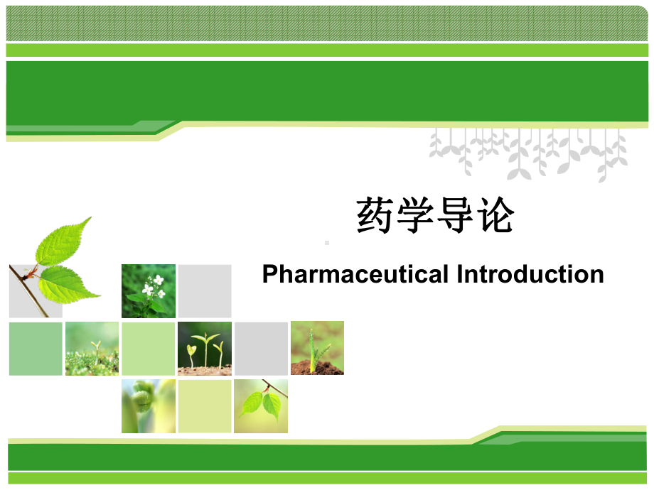 药学导论Pharmaceutical-Introduction.ppt课件.ppt_第1页