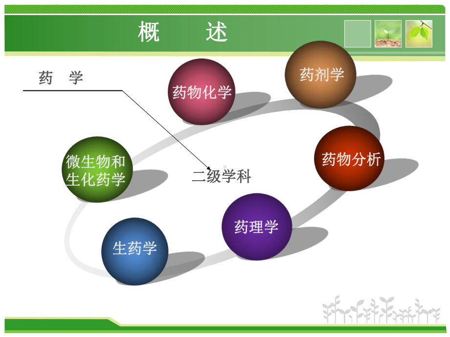 药学导论Pharmaceutical-Introduction.ppt课件.ppt_第2页