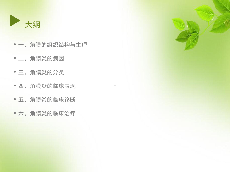 角膜角膜炎概要课件.ppt_第1页