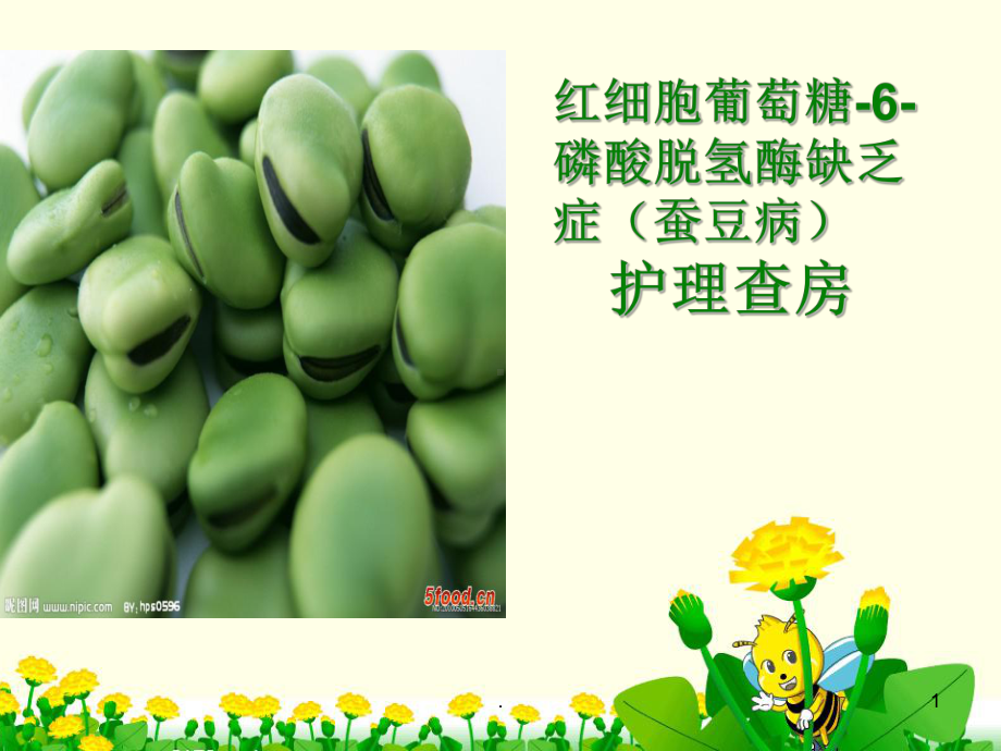 蚕豆病ppt演示课件.ppt_第1页