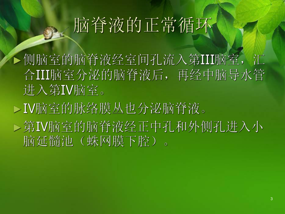 脑积水医学PPT课件.ppt_第3页