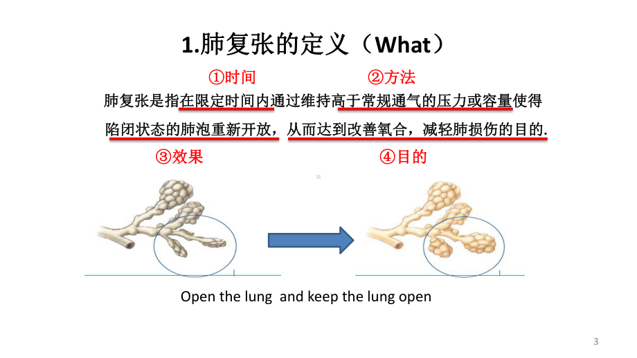 肺复张PPT优质课件.ppt_第3页