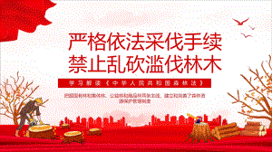 中华人民共和国森林法.pptx