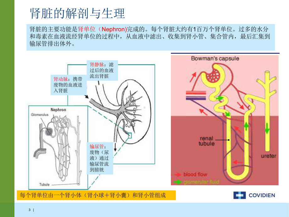 血液透析PPT参考课件.ppt_第3页