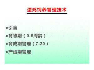 蛋鸡各阶段饲养管理技术课件.pptx