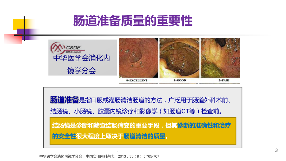 肠道准备在肠道精细检查中的重要意义分析ppt演示课件.pptx_第3页