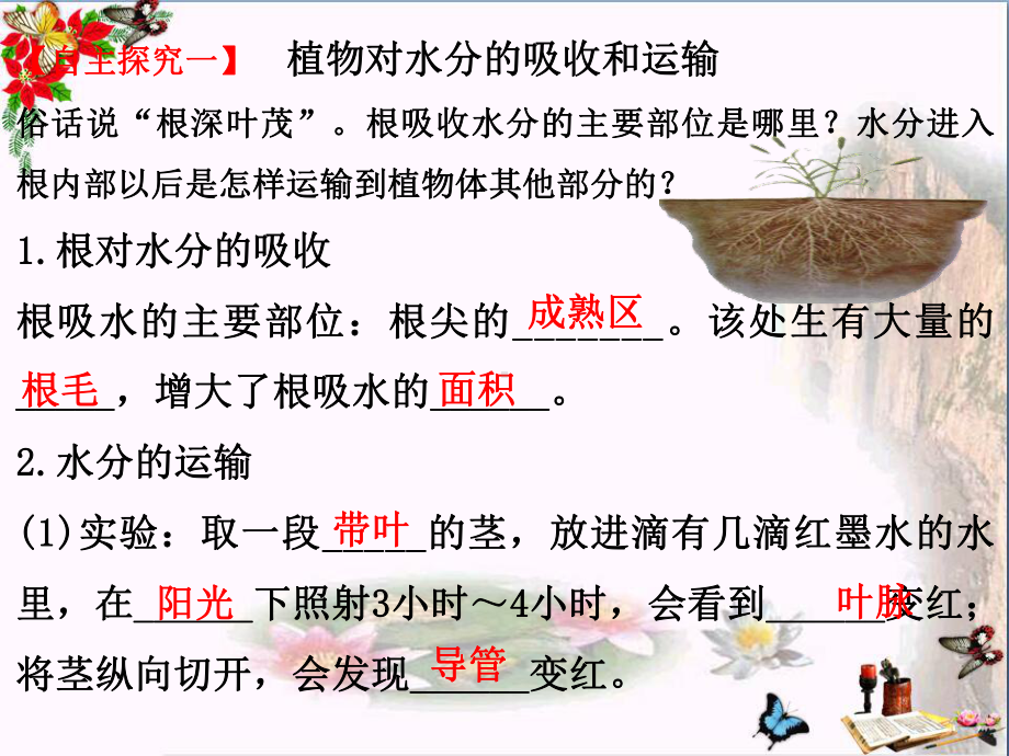 绿色植物与生物圈的水循环-PPT优秀课件3.ppt_第2页