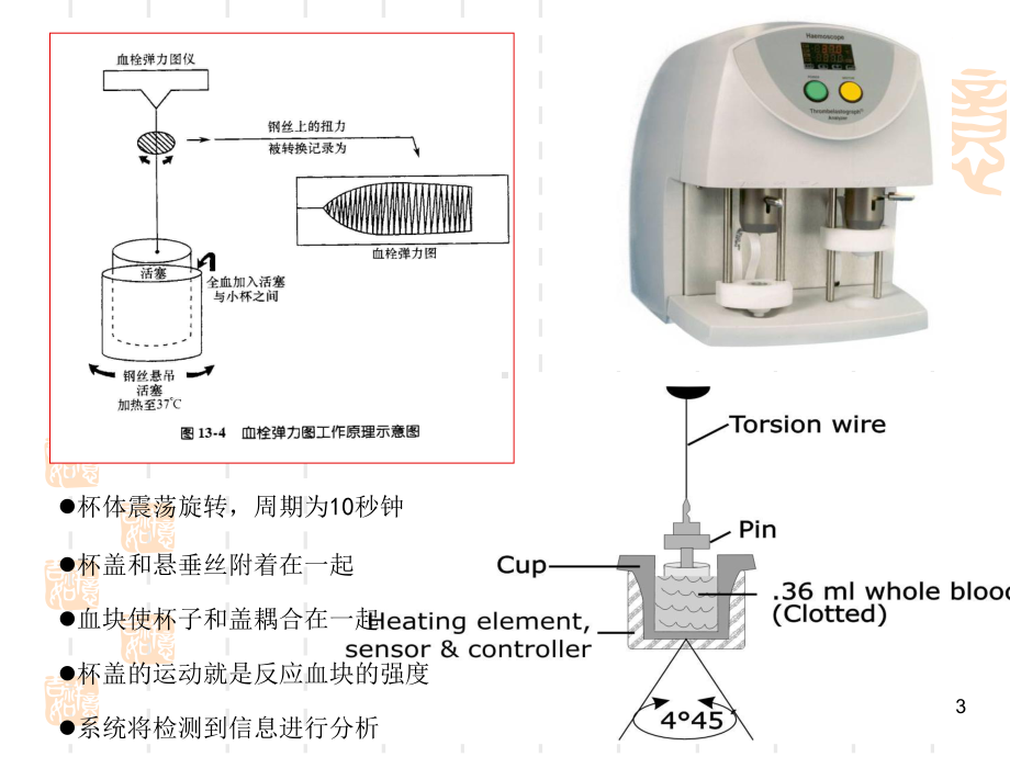 血栓弹力图-(课件)分析.ppt_第3页