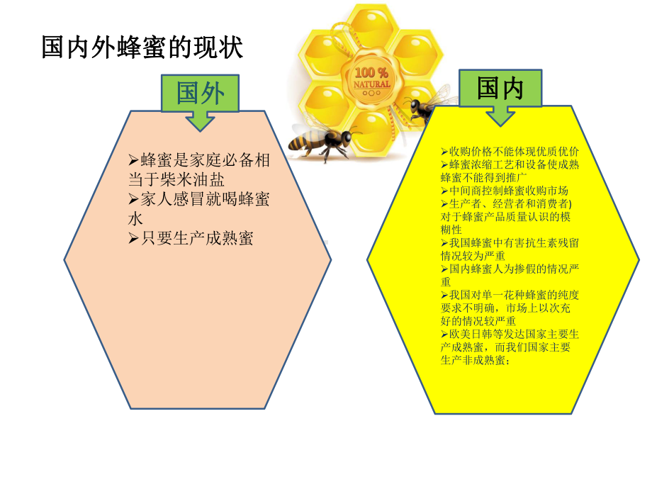 蜂蜜专业知识培训PPT模板课件.pptx_第3页