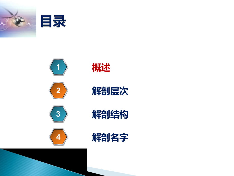 腹股沟区的解剖ppt演示课件.ppt_第2页