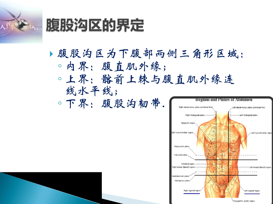 腹股沟区的解剖ppt演示课件.ppt_第3页