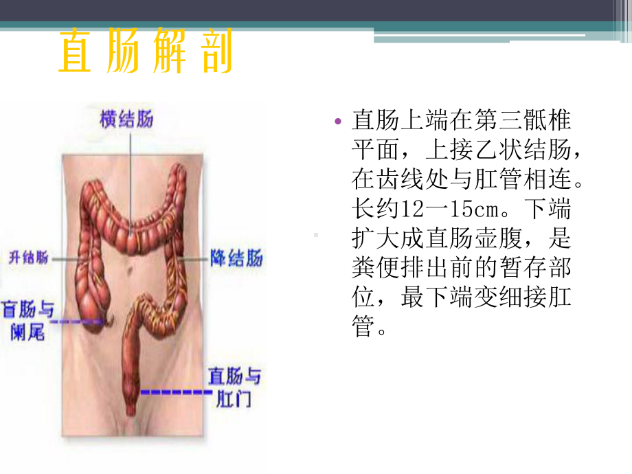 腹腔镜直肠癌前切除ppt演示课件.ppt_第3页