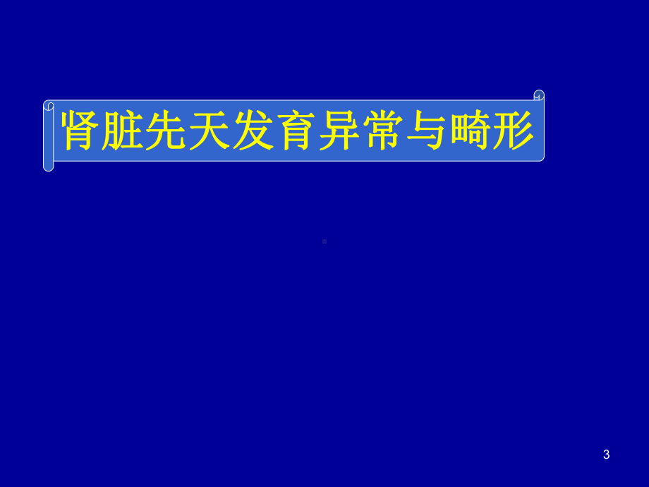 肾脏先天发育异常影像学诊断PPT优质课件.ppt_第3页