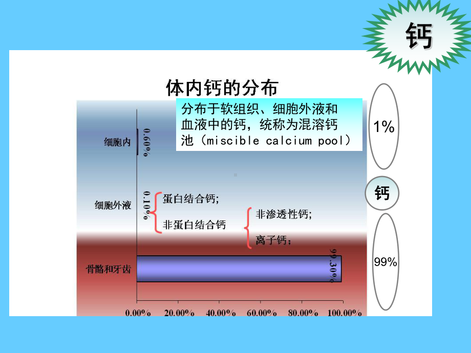 营养学-矿物质钙课件.ppt_第1页