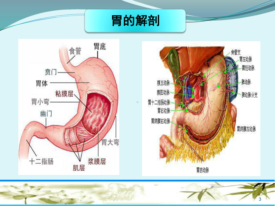 腹腔镜胃癌根治术ppt医学课件.ppt_第3页