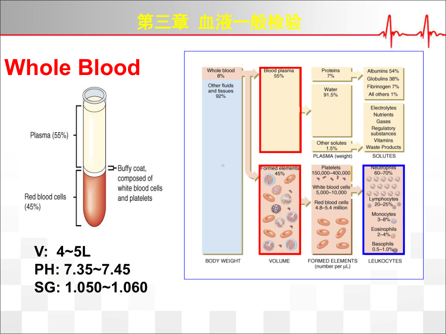 红细胞检验PPT优质课件.ppt_第2页