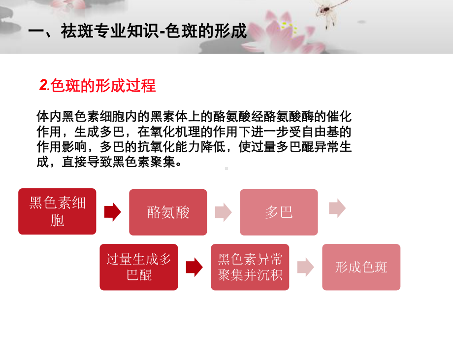 色斑的专业知识ppt课件.ppt_第3页