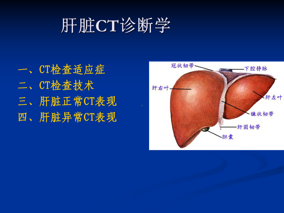 肝脏CT诊断PPT课件.ppt_第3页