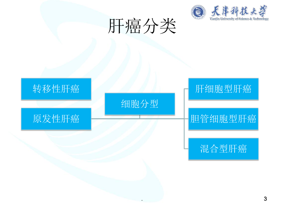 肝癌ppt演示课件.pptx_第3页