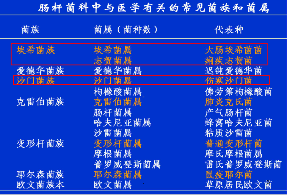 肠杆菌科-最新ppt演示课件.ppt_第3页