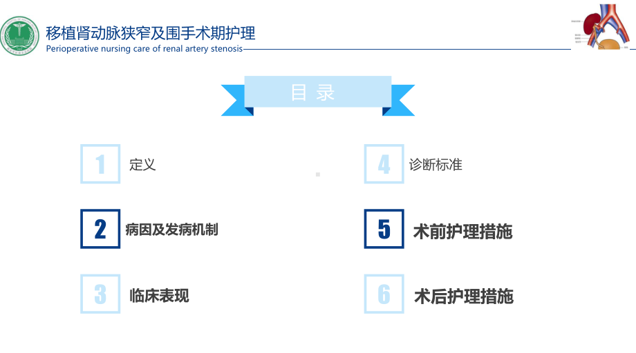 肾移植术后肾动脉狭窄及围手术期的护理ppt课件.pptx_第3页