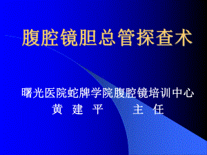 腹腔镜胆总管探查术课件.ppt