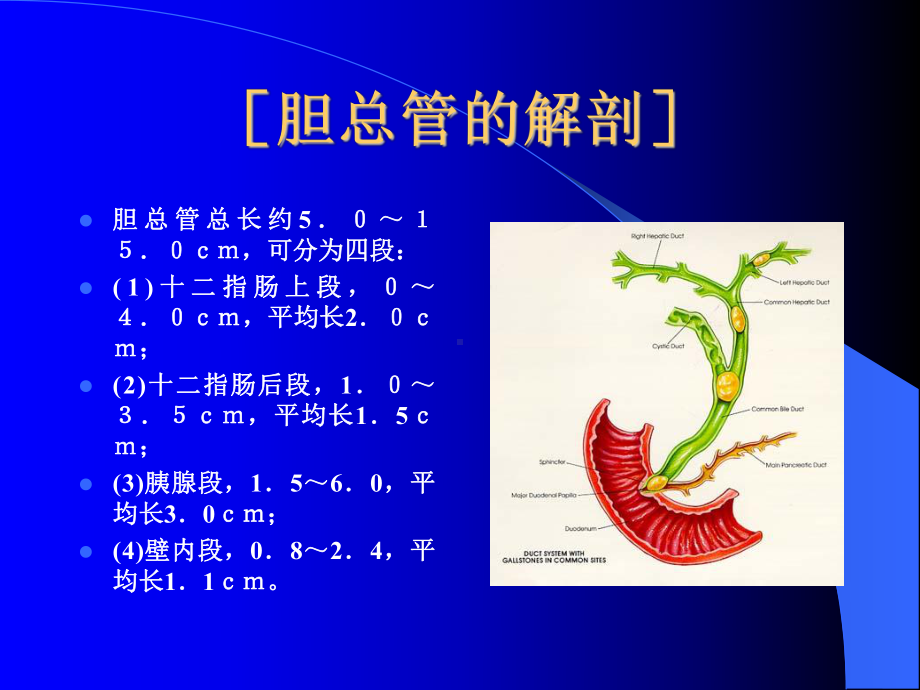 腹腔镜胆总管探查术课件.ppt_第2页