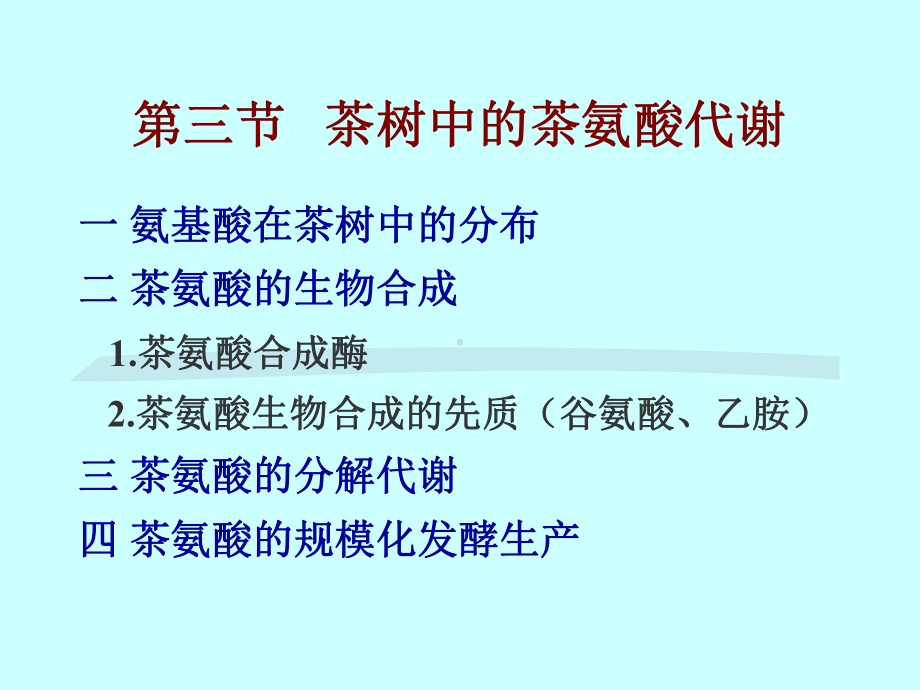 茶树中的茶氨酸代谢课件.ppt_第1页