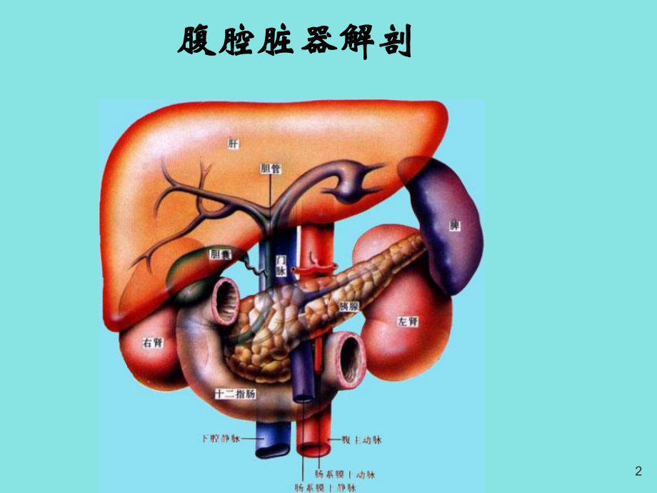 肝脏疾病的超声诊断ppt演示课件.ppt_第2页