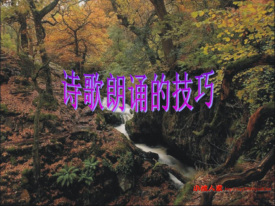 诗歌朗诵的技巧ppt课件.ppt_第1页