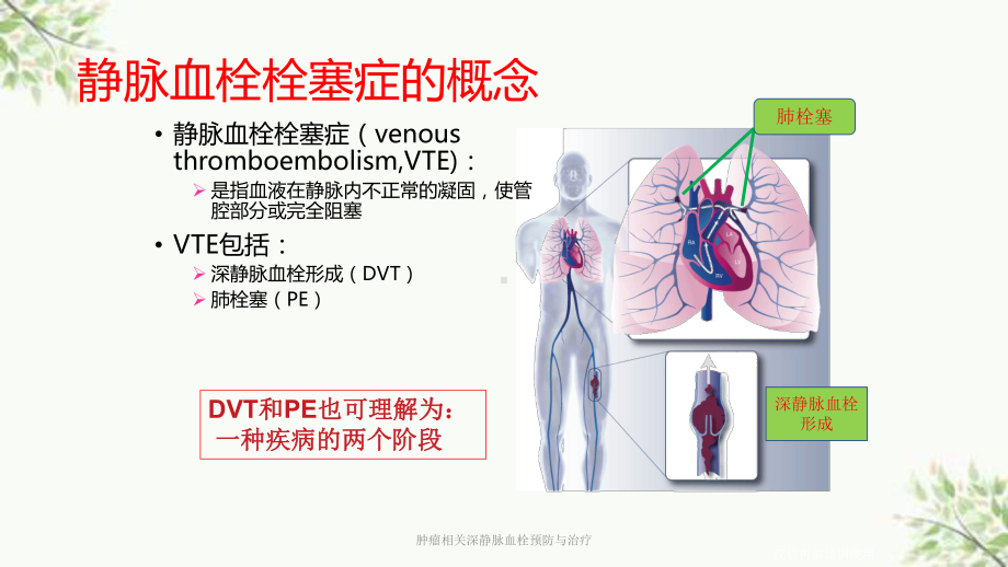 肿瘤相关深静脉血栓预防与治疗课件.ppt_第3页