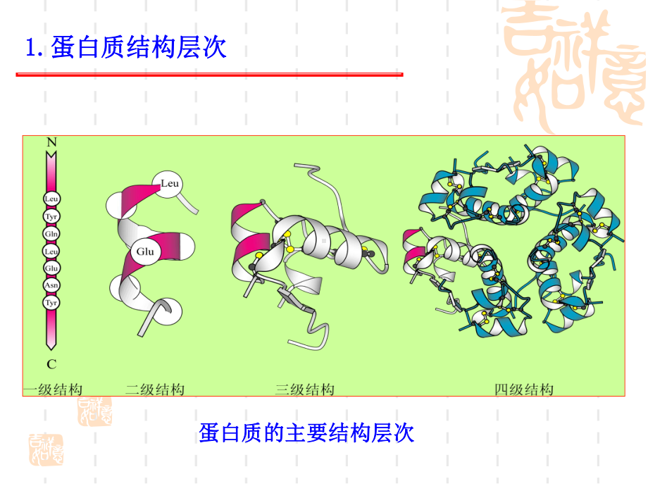 蛋白质应用课件.ppt_第2页