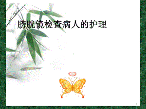 膀胱镜检查护理课件.ppt