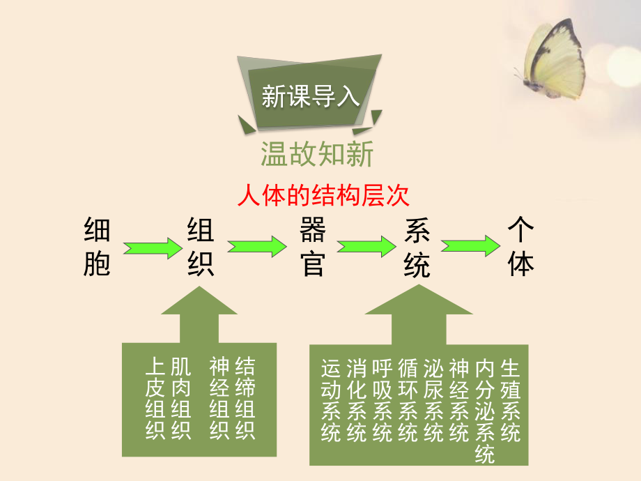 苏教版生物七年级下册8.3《人体概述》ppt课件.pptx_第2页