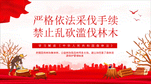 学习中国森林法精品PPT课件（专题学习ppt课件）.pptx