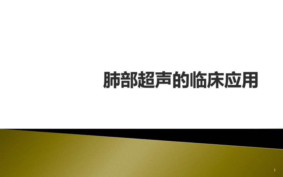 肺部超声的临床应用PPT演示课件.ppt_第1页