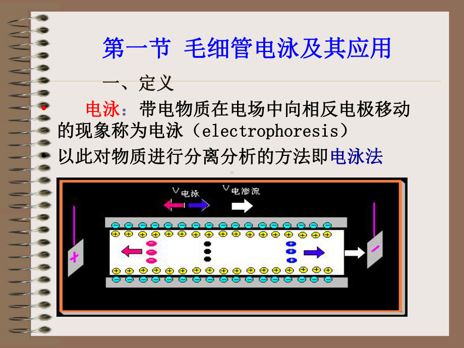 药品质量控制中的现代分析方法与技术课件.ppt_第3页