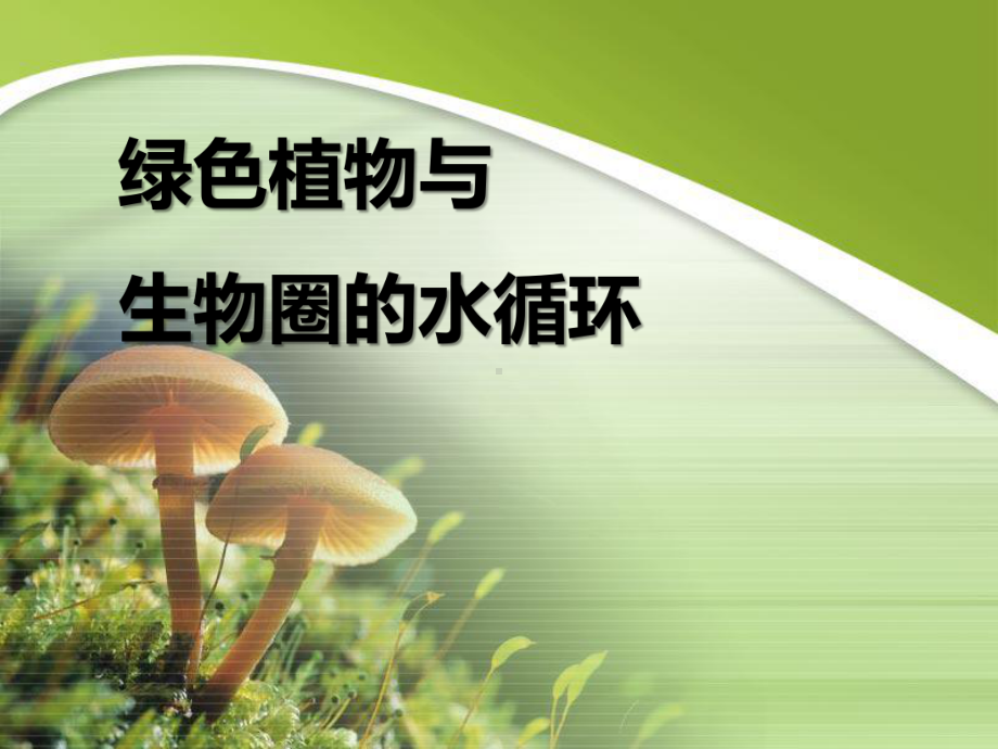 绿色植物与生物圈的水循环-PPT优秀课件.ppt_第1页