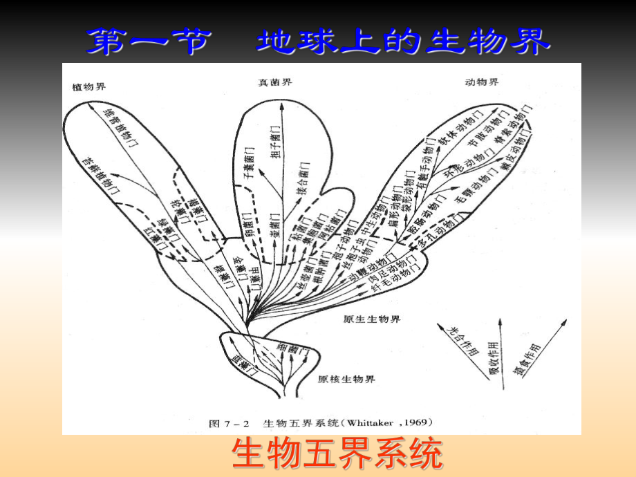 自然地理学-第七章-生物与环境课件.ppt_第2页