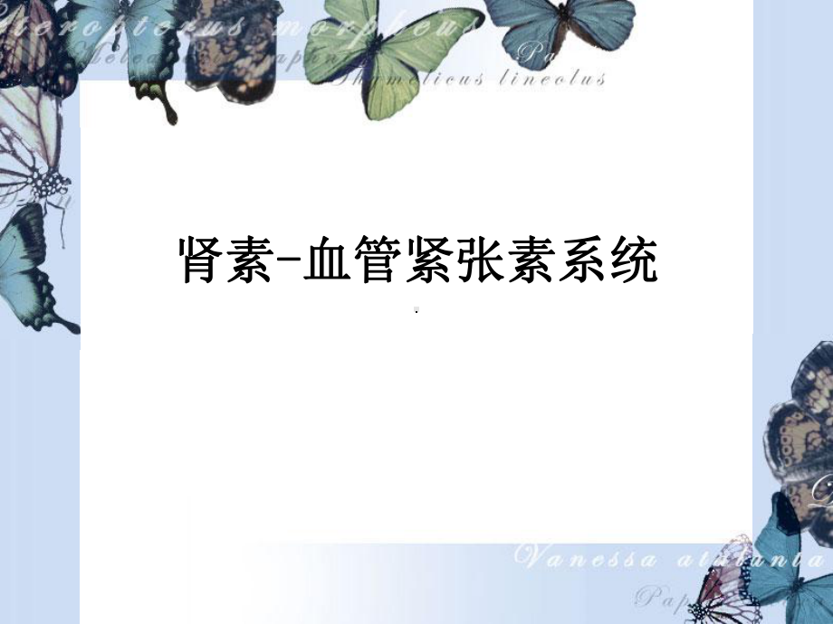 肾素-血管紧张素系统(PPT课件).ppt_第1页