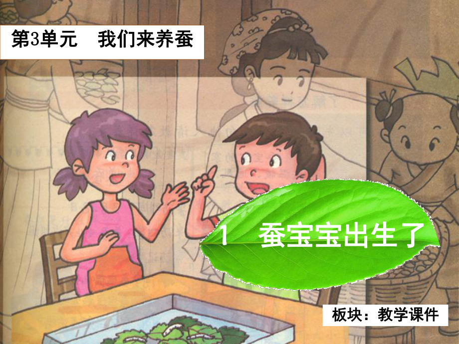 蚕宝宝出生了(课堂PPT)课件.ppt_第2页